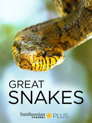 Great Snakes (2016)
