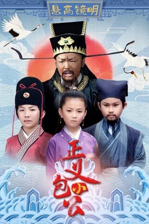 正义小包公 movie poster