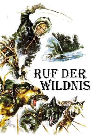 Ruf der Wildnis 1972