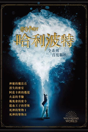 Harry Potter Movie Collection