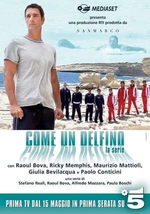 Poster Come un delfino (2011)