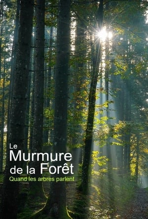 Image Le murmure de la forêt : quand les arbres parlent