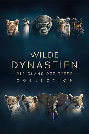Dynasties 49