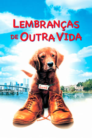 Poster Fluke: Lembranças de Outra Vida 1995