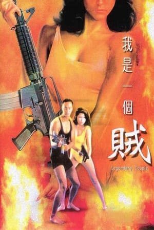 Poster 我是一個賊 1995