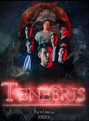 Image Tenebris