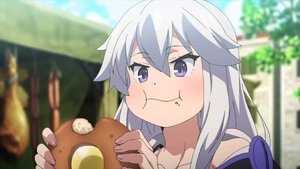 Grimoire of Zero The Witch and the Beastfallen