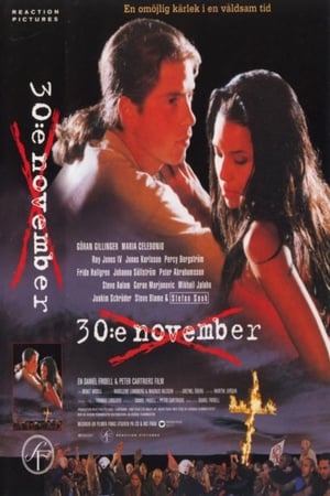 30:e november poster