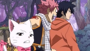 Fairy Tail: 2×6