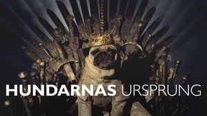 Episode 30