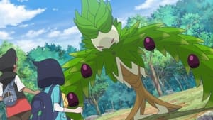 Pokémon Horizons: The Series Arboliva's Forest