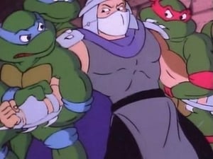 Teenage Mutant Ninja Turtles: 3×6