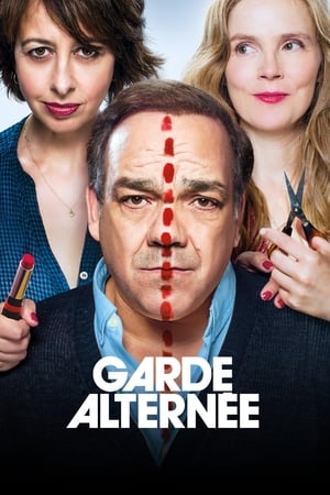 Poster Garde alternée 2017