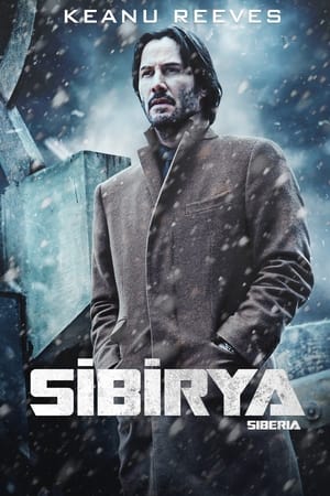 Poster Sibirya 2018