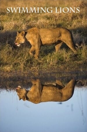 Image Swimming Lions