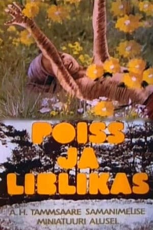 Poiss ja liblikas film complet