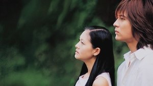 Meteor Garden