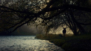 Hannibal – Todas as Temporadas Dual Áudio 1080p