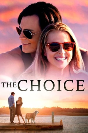 Poster The Choice 2016