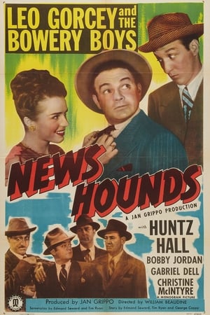 Poster News Hounds 1947