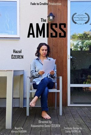 Póster de The Amiss
