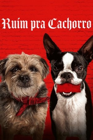 Ruim pra Cachorro - Poster