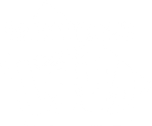 Una casa de locos — Logos 11