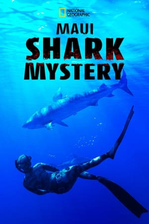 Maui Shark Mystery 2022