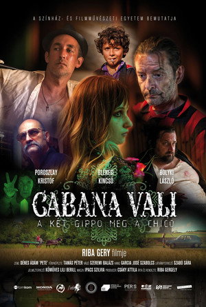 Cabana Vali 1