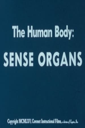Poster The Human Body: Sense Organs (1965)