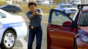 Hawaii Five-0 Season 1 Episode 14