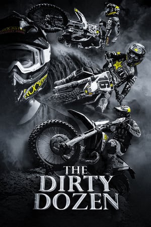 Poster The Dirty Dozen (2020)