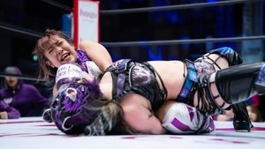 Stardom on Stardom World: 12×16