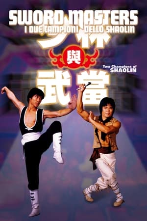 I due campioni dello Shaolin (1980)