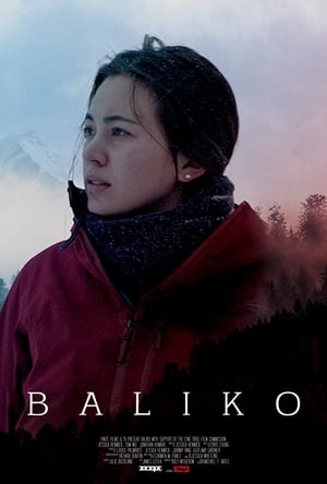 Baliko (2019) | Team Personality Map