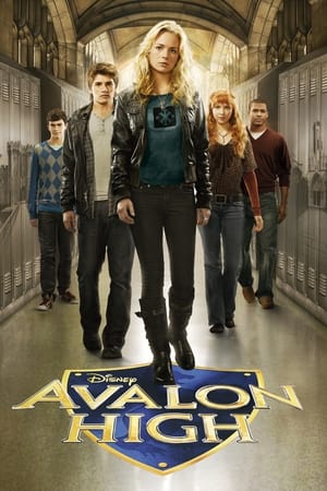 Poster Avalonská střední 2011