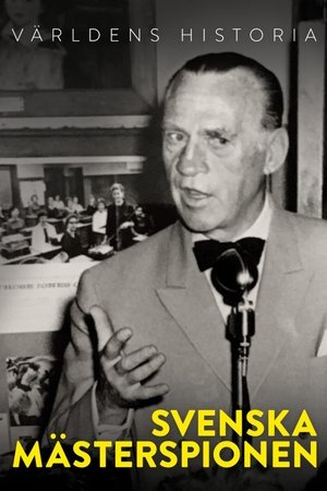 Svenska mästerspionen (2025)