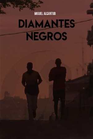 Poster Diamantes Negros 2013