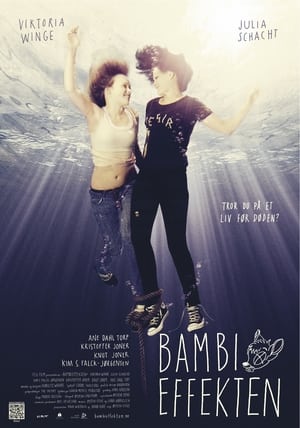 Poster Bambieffekten 2011