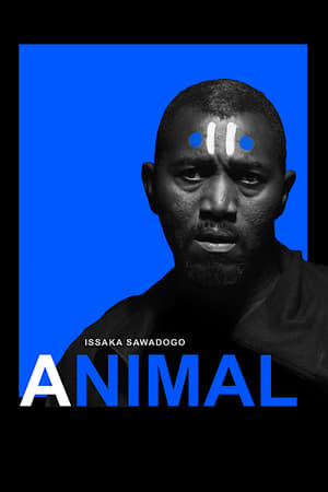 Animal poster