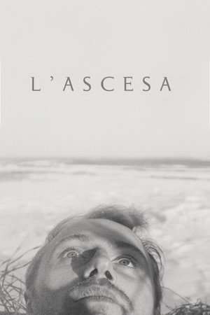 The Ascent 49