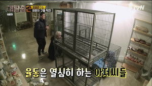 The Great Escape: 2×8 {year} Online En Netflix