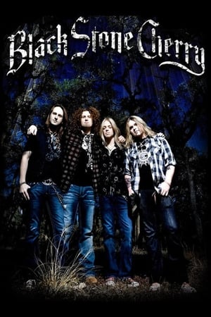 Poster Black Stone Cherry: Crossroads Festival 2009 (2009)