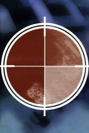 Videograms of a Revolution 10