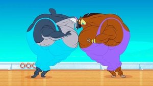 The Fitness Session