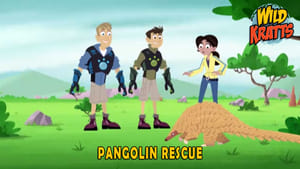 Wild Kratts Pangolin Rescue