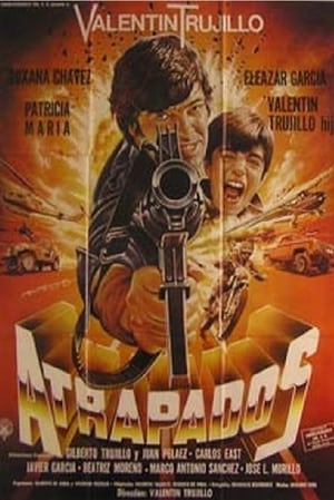 Poster Atrapados (1995)