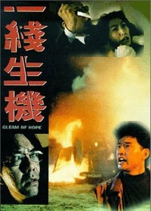 Poster A Gleam of Hope 1994