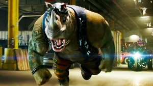 Teenage Mutant Ninja Turtles: Out of the Shadows (2016)
