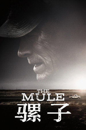 The Mule 117